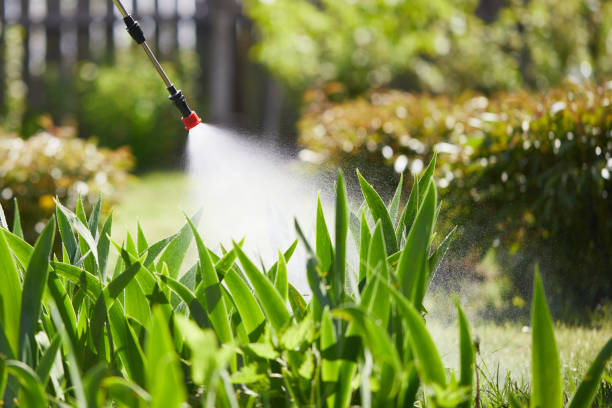 Tamper-Resistant Bait Stations for Rodents in Blair