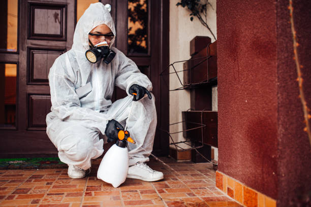 Attic and Crawl Space Rodent Treatment in Blair