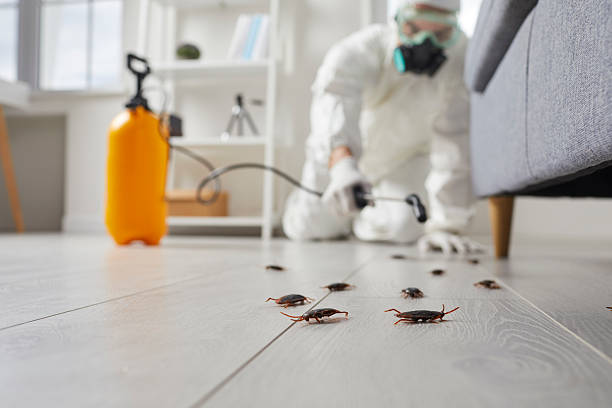 Commercial Rodent Management in Blair
